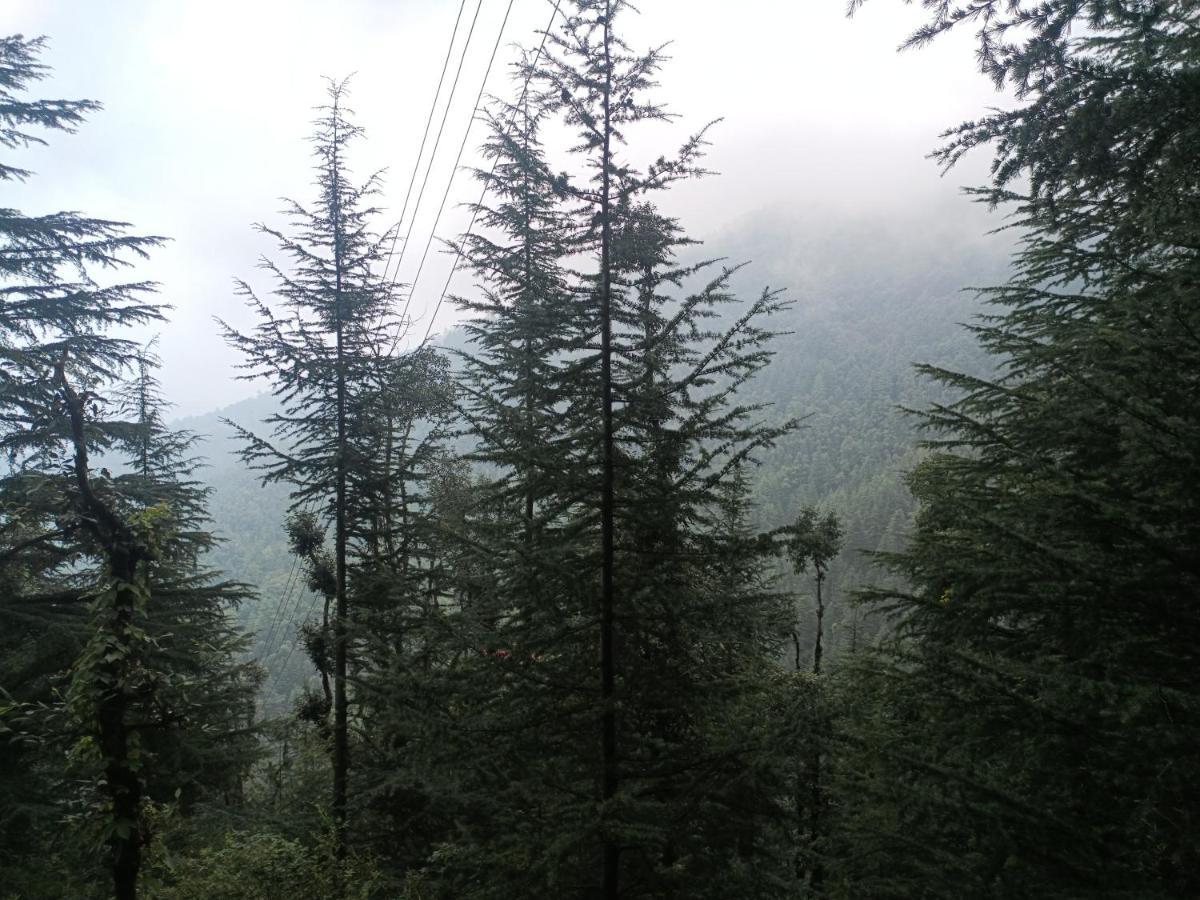 Peace Holiday Homestay Chail Exterior foto